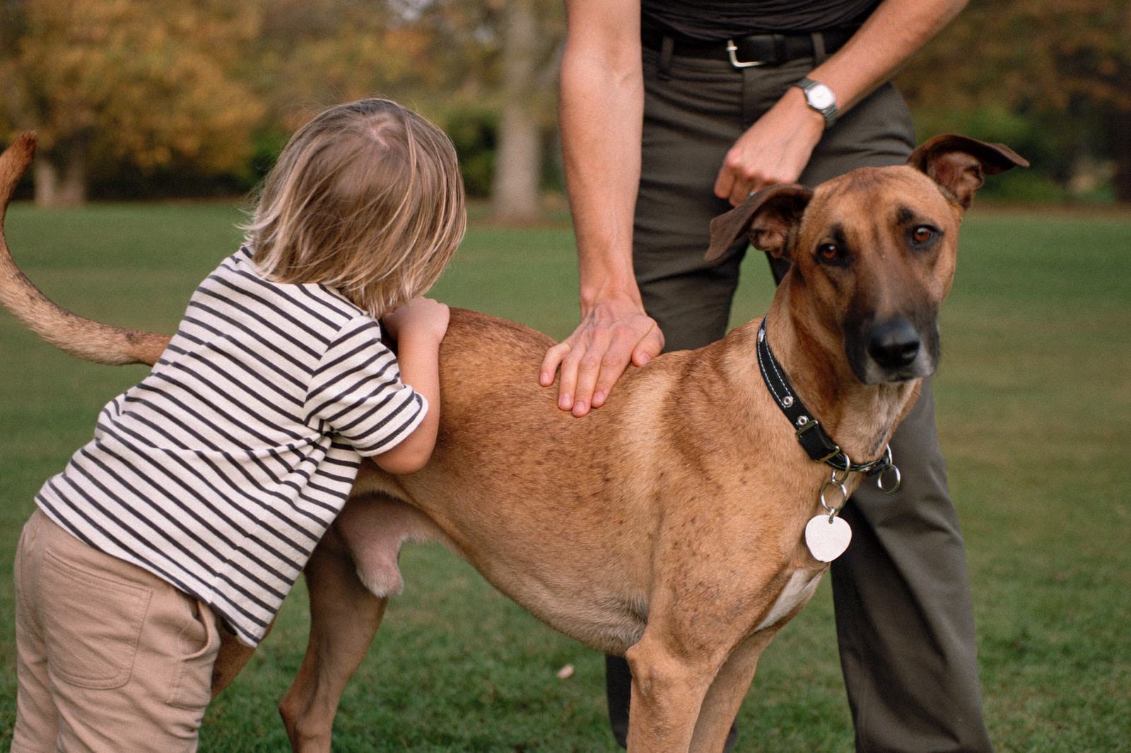 Niño pequeño acariciando el lomo de un perro tranquilo mientras un adulto lo acompaña