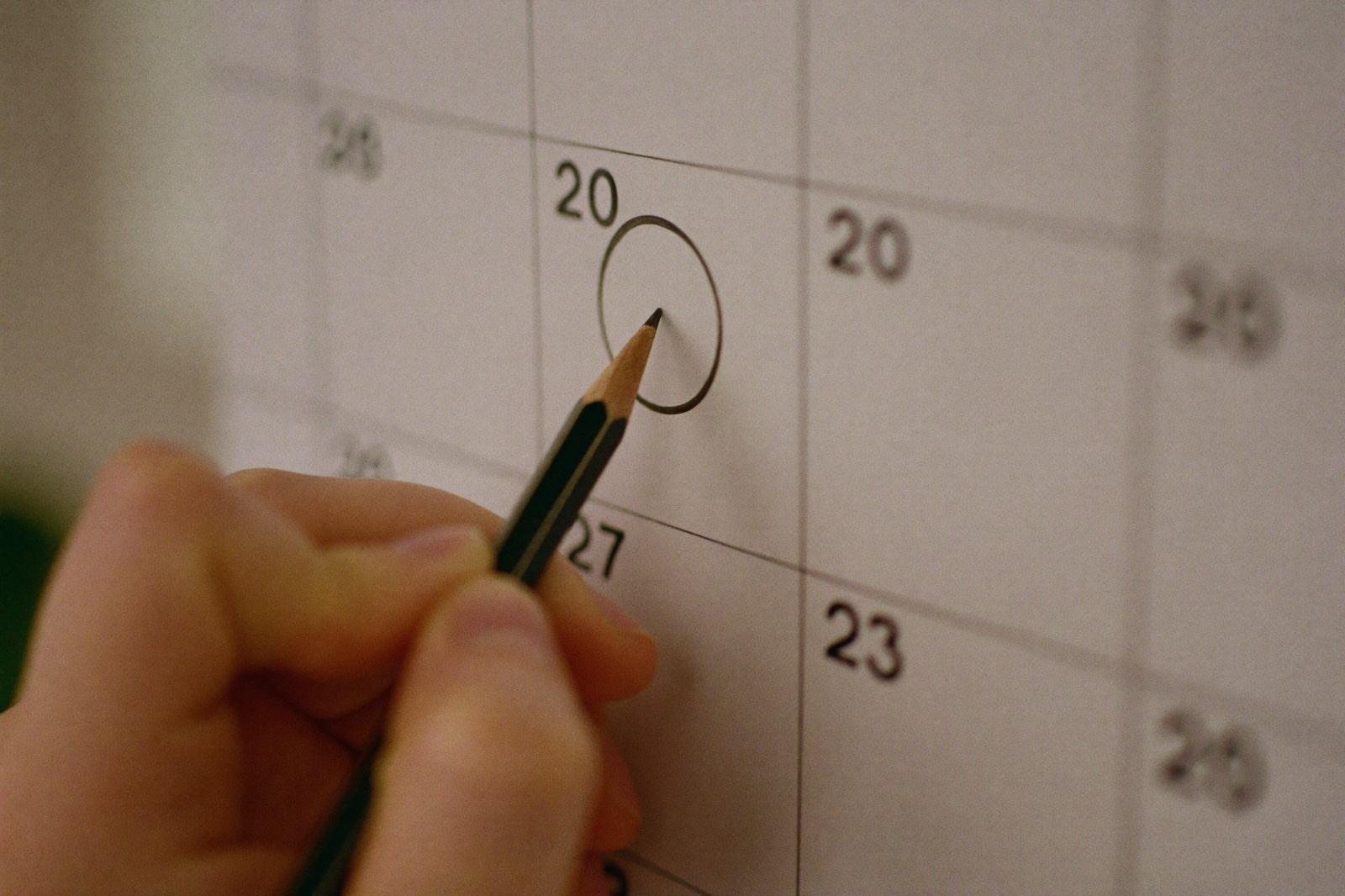 Calendario de pared de papel con algunos días marcados a lápiz, colgado en un muro de yeso junto a una planta pequeña