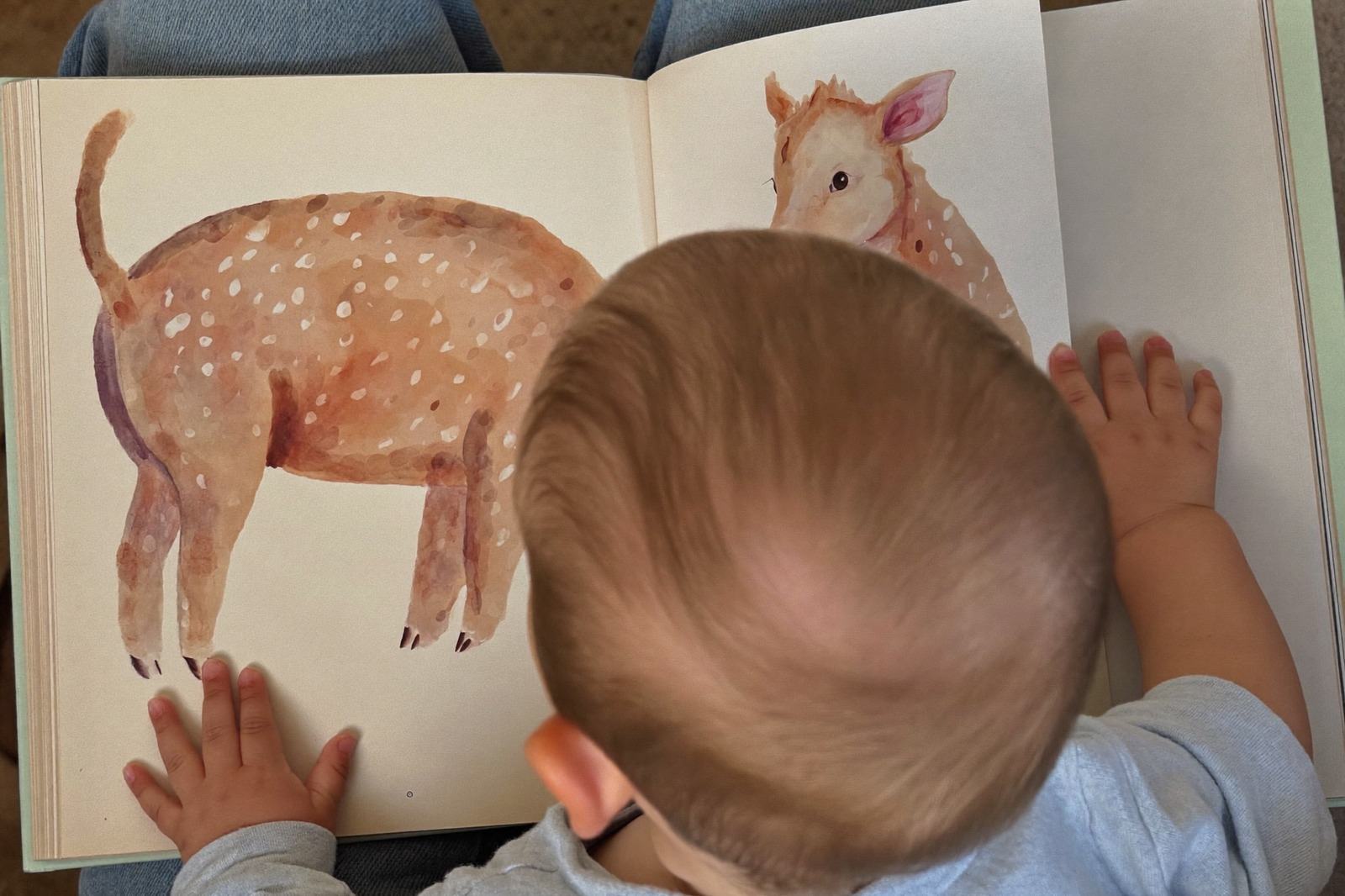 Niño pequeño sentado en las piernas de un adulto, con las manos sobre las páginas de un libro ilustrado